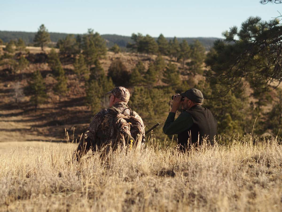 Hunting Hunting in SD